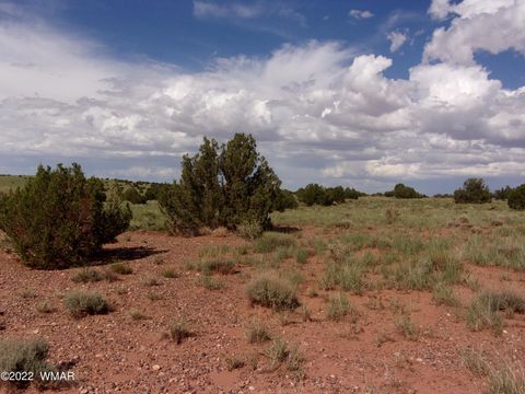 Tiny photo for 5371 Valley Road, Snowflake, AZ 85937 (MLS # 255078)