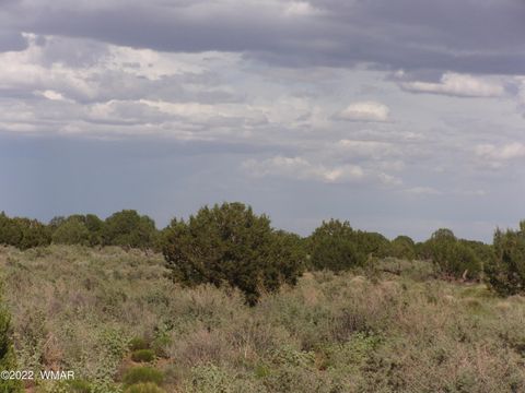 Tiny photo for 5371 Valley Road, Snowflake, AZ 85937 (MLS # 255078)