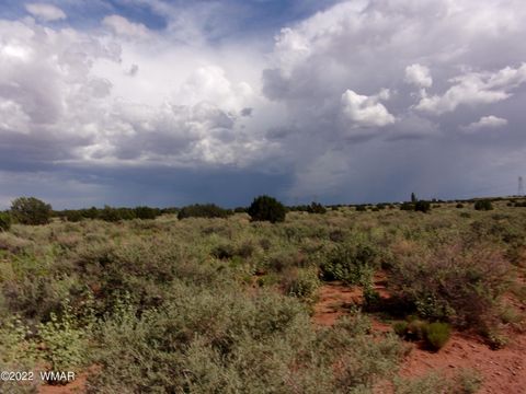 Photo of 5371 Valley Road, Snowflake, AZ 85937 (MLS # 255078)