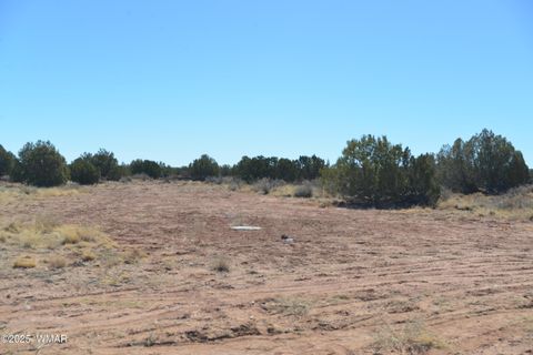 Tiny photo for 5371 Valley Road, Snowflake, AZ 85937 (MLS # 255078)