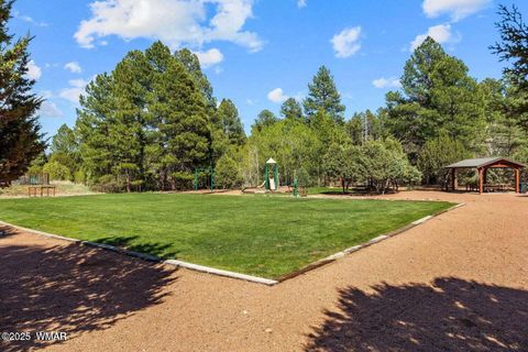 Tiny photo for 4881 Tatanka Drive Drive, Show Low, AZ 85901 (MLS # 258991)