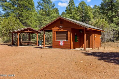 Tiny photo for 4881 Tatanka Drive Drive, Show Low, AZ 85901 (MLS # 258991)