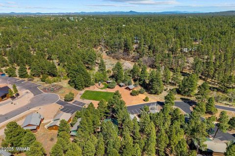 Tiny photo for 4881 Tatanka Drive Drive, Show Low, AZ 85901 (MLS # 258991)