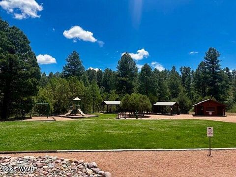 Tiny photo for 4881 Tatanka Drive Drive, Show Low, AZ 85901 (MLS # 258991)