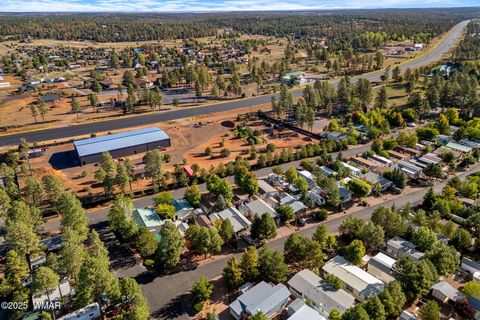 Tiny photo for 2209 Old Crooks Trail, Overgaard, AZ 85933 (MLS # 258006)