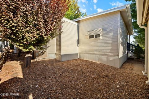 Tiny photo for 2209 Old Crooks Trail, Overgaard, AZ 85933 (MLS # 258006)