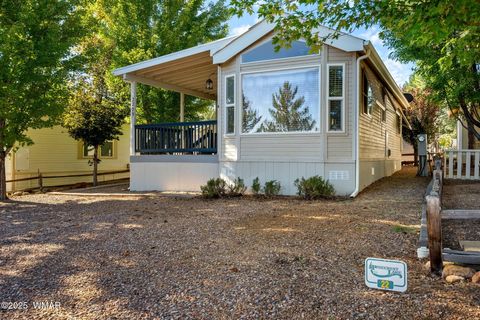Photo of 2209 Old Crooks Trail, Overgaard, AZ 85933 (MLS # 258006)