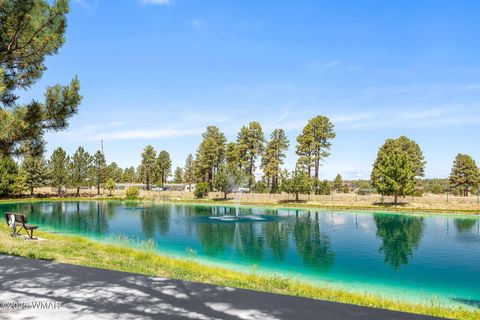 Tiny photo for 2209 Old Crooks Trail, Overgaard, AZ 85933 (MLS # 258006)