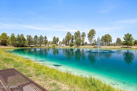 Tiny photo for 2209 Old Crooks Trail, Overgaard, AZ 85933 (MLS # 258006)