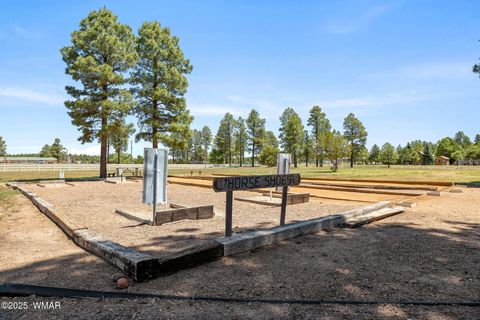 Tiny photo for 2209 Old Crooks Trail, Overgaard, AZ 85933 (MLS # 258006)