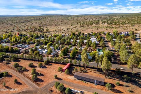 Tiny photo for 2209 Old Crooks Trail, Overgaard, AZ 85933 (MLS # 258006)
