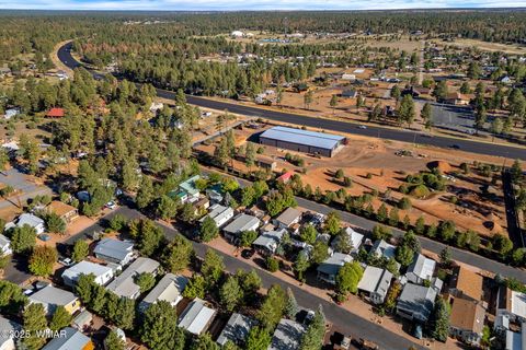 Tiny photo for 2209 Old Crooks Trail, Overgaard, AZ 85933 (MLS # 258006)