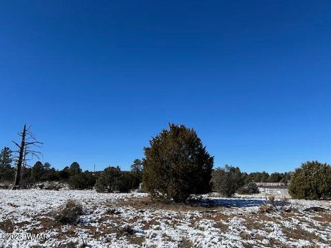 Tiny photo for 7086 Saddle Bow Road, Show Low, AZ 85901 (MLS # 259140)
