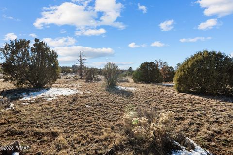 Tiny photo for 7086 Saddle Bow Road, Show Low, AZ 85901 (MLS # 259140)