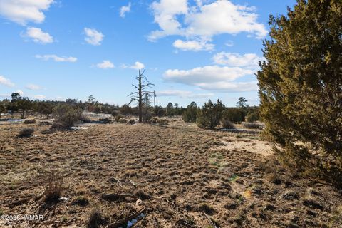 Tiny photo for 7086 Saddle Bow Road, Show Low, AZ 85901 (MLS # 259140)