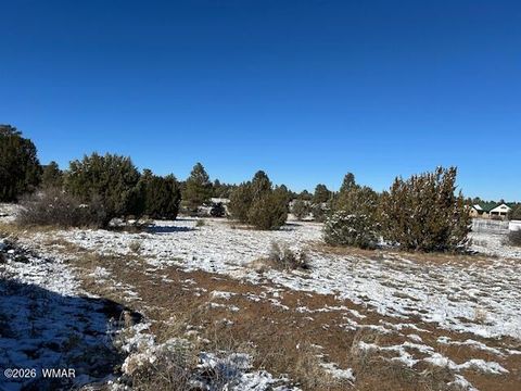 Tiny photo for 7086 Saddle Bow Road, Show Low, AZ 85901 (MLS # 259140)