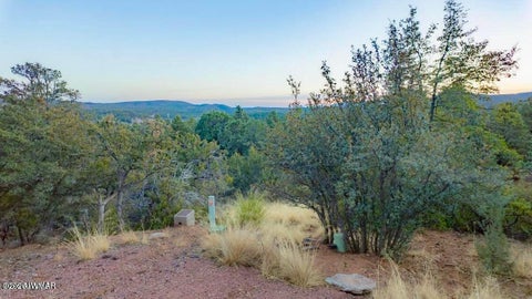 Tiny photo for 0 Drumecho Cir Lots 12 & 13, Pine, AZ 85544 (MLS # 263420)