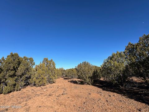 Tiny photo for TBD Hawk Rd, Show Low, AZ 85901 (MLS # 254109)