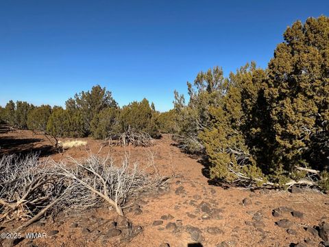 Tiny photo for TBD Hawk Rd, Show Low, AZ 85901 (MLS # 254109)