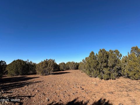 Tiny photo for TBD Hawk Rd, Show Low, AZ 85901 (MLS # 254109)