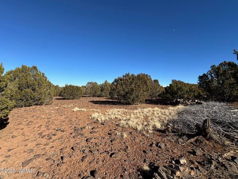 Photo of TBD Hawk Rd, Show Low, AZ 85901 (MLS # 254109)
