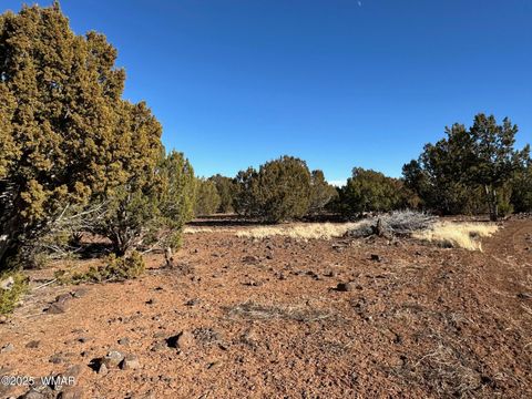 Tiny photo for TBD Hawk Rd, Show Low, AZ 85901 (MLS # 254109)