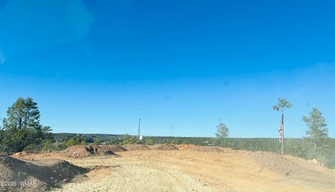 Photo of 3363 Spring Court, Heber, AZ 85928 (MLS # 260020)