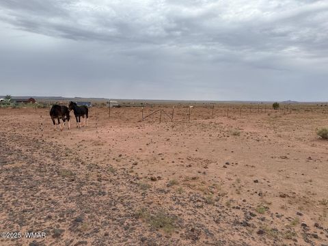 Tiny photo for 5567 Skyline Road, Snowflake, AZ 85937 (MLS # 257105)