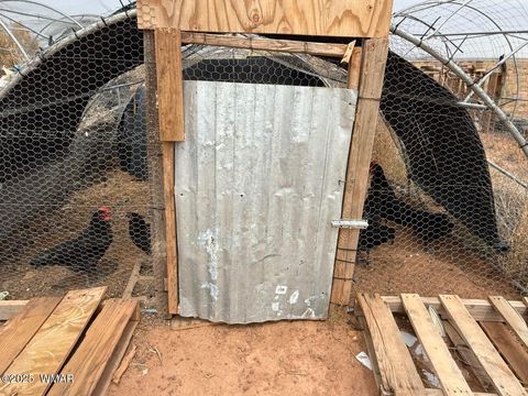 Tiny photo for 5567 Skyline Road, Snowflake, AZ 85937 (MLS # 257105)