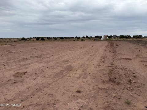 Tiny photo for 5567 Skyline Road, Snowflake, AZ 85937 (MLS # 257105)