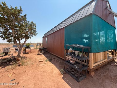 Photo of 5567 Skyline Road, Snowflake, AZ 85937 (MLS # 257105)