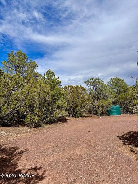Tiny photo for 14 County Rd N3573, Vernon, AZ 85940 (MLS # 257302)