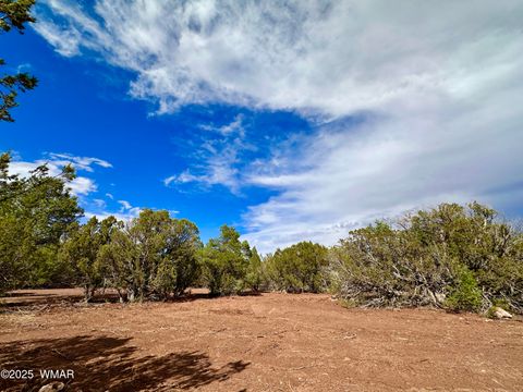 Tiny photo for 14 County Rd N3573, Vernon, AZ 85940 (MLS # 257302)