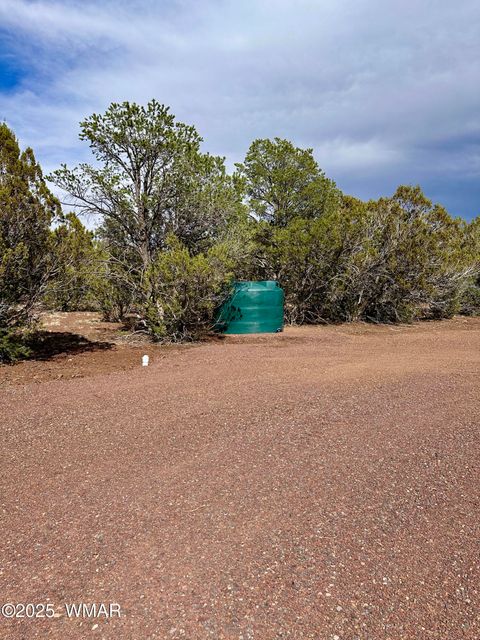 Tiny photo for 14 County Rd N3573, Vernon, AZ 85940 (MLS # 257302)