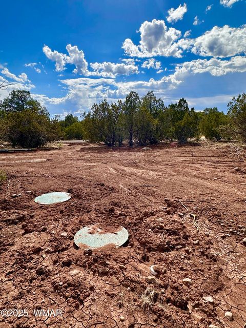 Tiny photo for 14 County Rd N3573, Vernon, AZ 85940 (MLS # 257302)