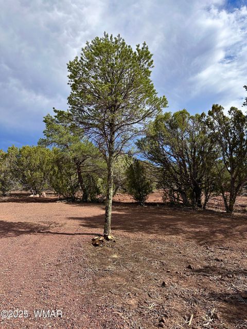 Tiny photo for 14 County Rd N3573, Vernon, AZ 85940 (MLS # 257302)