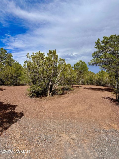 Tiny photo for 14 County Rd N3573, Vernon, AZ 85940 (MLS # 257302)
