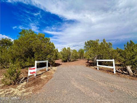Tiny photo for 14 County Rd N3573, Vernon, AZ 85940 (MLS # 257302)