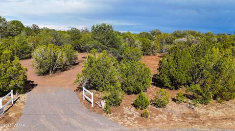 Tiny photo for 14 County Rd N3573, Vernon, AZ 85940 (MLS # 257302)