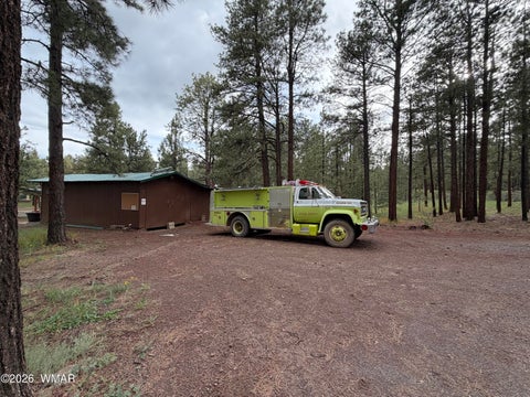 Tiny photo for 3 County Road N1040 Street, Eagar, AZ 85925 (MLS # 263217)