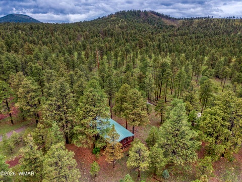 Tiny photo for 3 County Road N1040 Street, Eagar, AZ 85925 (MLS # 263217)