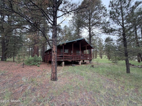 Tiny photo for 3 County Road N1040 Street, Eagar, AZ 85925 (MLS # 263217)