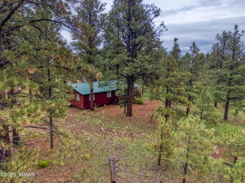 Photo of 3 County Road N1040 Street, Eagar, AZ 85925 (MLS # 263217)