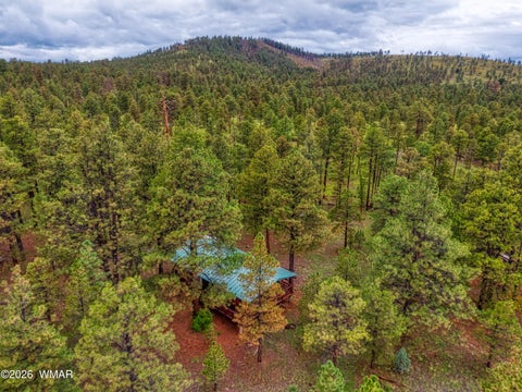 Tiny photo for 3 County Road N1040 Street, Eagar, AZ 85925 (MLS # 263217)