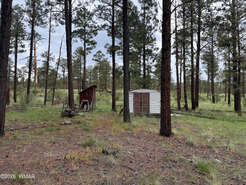 Tiny photo for 3 County Road N1040 Street, Eagar, AZ 85925 (MLS # 263217)
