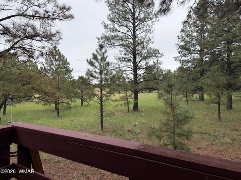 Tiny photo for 3 County Road N1040 Street, Eagar, AZ 85925 (MLS # 263217)