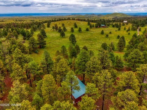 Tiny photo for 3 County Road N1040 Street, Eagar, AZ 85925 (MLS # 263217)