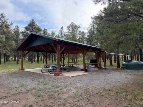 Tiny photo for 3 County Road N1040 Street, Eagar, AZ 85925 (MLS # 263217)