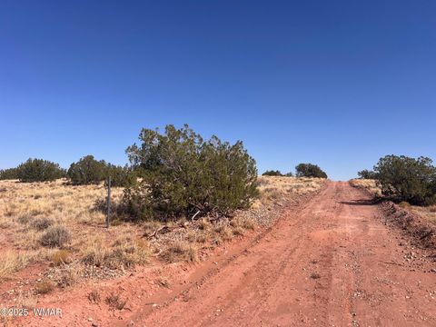 Tiny photo for 598B Hopi Lane, Snowflake, AZ 85937 (MLS # 255921)