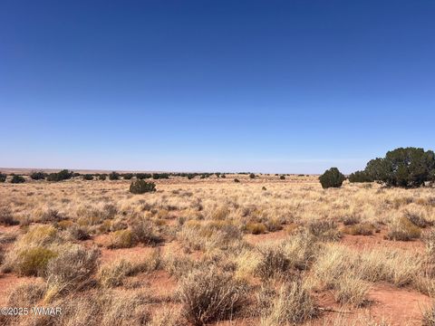 Tiny photo for 598B Hopi Lane, Snowflake, AZ 85937 (MLS # 255921)